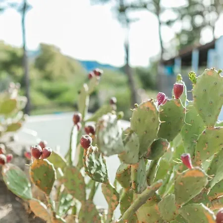 Apart Otel Holiday Eolie Village Vulcano (Isola)